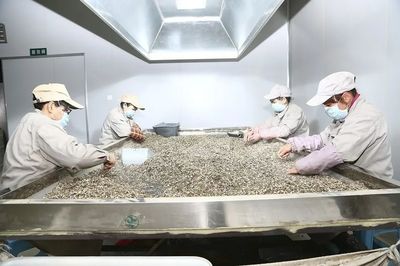 重庆康嘉药业中药饮片生产产能已恢复60%